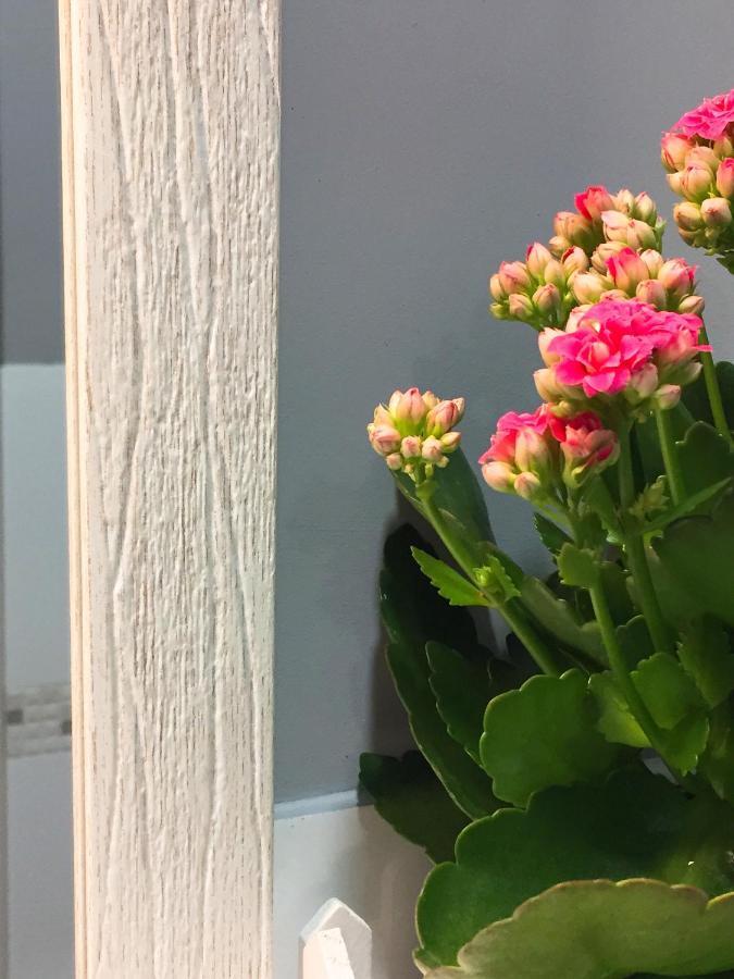 Col Di Lana Apartment Cagliari Ngoại thất bức ảnh